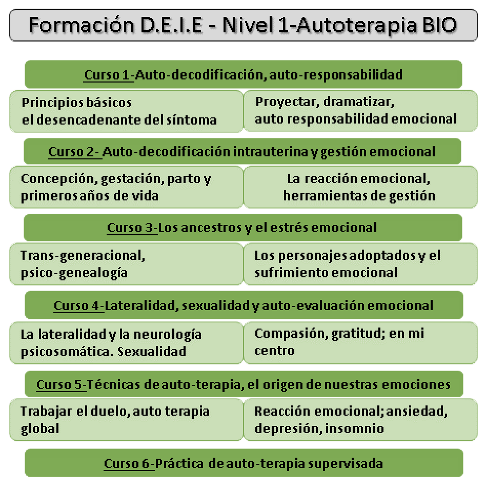 esquema autoterapia deie